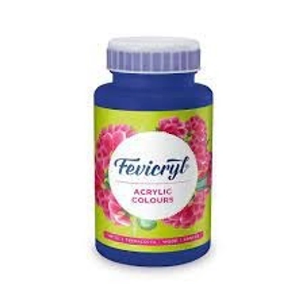 Fevicryl Acrylic Colour