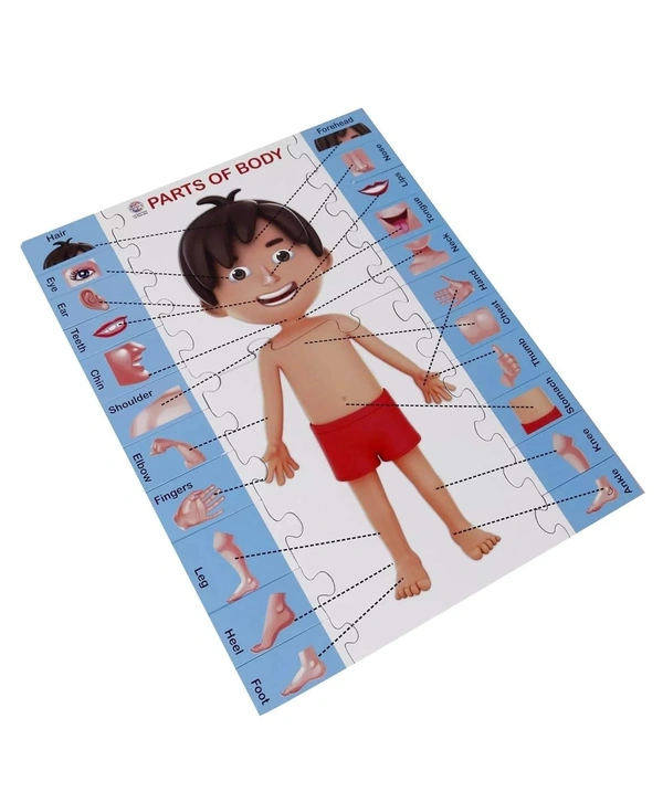 RATNA'S Parts of Body Jigsaw Puzzle for Kids with 2 in 1 Write and Wipe Board with Body Parts - ‎27 x 14.9 x 4.5 cm, Multi-color