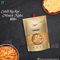 Ginger Garlic paste 100 gm (catch)