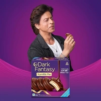 Sunfeast Dark Fantasy Yumfills Whoopie Pie, Chocolate Chip, 253g