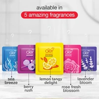 Godrej aer Power Pocket Tangy Delight (10G) | Air Freshener - Bathroom And Toilet | Lasts 30 Days - Tangy Delight