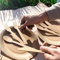 Bamboo Cutlery- 100pcs 6.7" Bamboo Forks Disposable 100% Compostable Biodegradable Renewable Natural Cutlery Fork for Travel/Camping/Wedding/Party