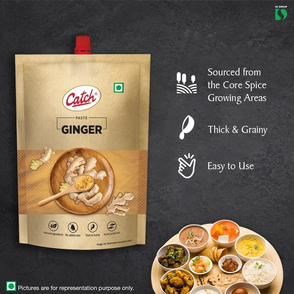 Ginger Garlic paste 100 gm (catch)