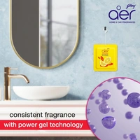 Godrej aer Power Pocket Tangy Delight (10G) | Air Freshener - Bathroom And Toilet | Lasts 30 Days - Tangy Delight