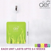 Godrej aer Power Pocket Tangy Delight (10G) | Air Freshener - Bathroom And Toilet | Lasts 30 Days - Tangy Delight - Green Yellow