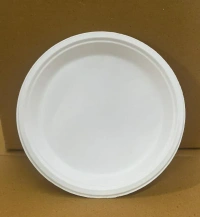 Disposable Plate 10 pcs