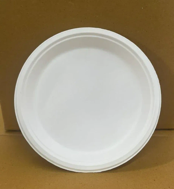 Disposable Plate 10 pcs
