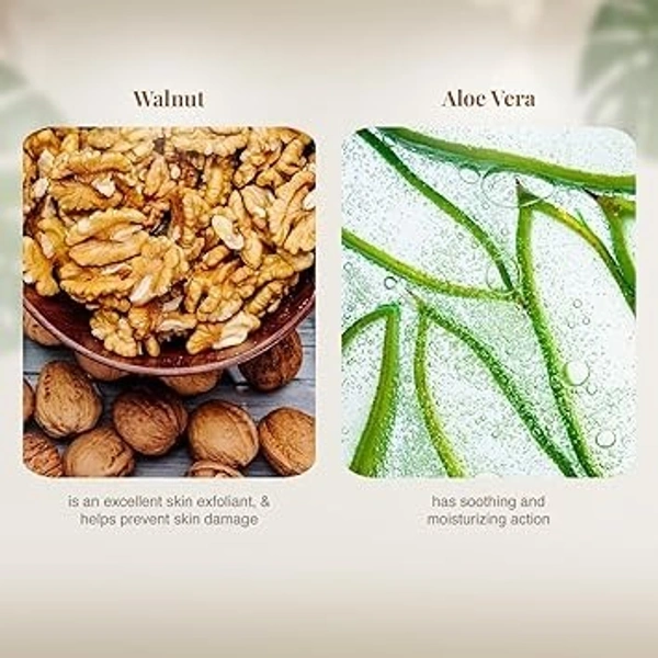 VLCC Walnut Face Scrub - 80g - (Pack of 2) | Moisturizing Scrub For Mild Exfoliation | Helps Reduce Skin Damage | Soothing, Calming and Brightening Scrub | Tanning Protection Against Sun Damage. 8907122003099