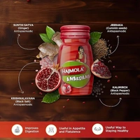 Dabur Hajmola Tablet - Pack of 120 Tablets (Anardana)