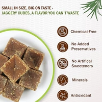 Dhampurgreen Jaggery Cubes, 650G | Healthy Substitute for Sugar | Chemical Free | No Preservatives