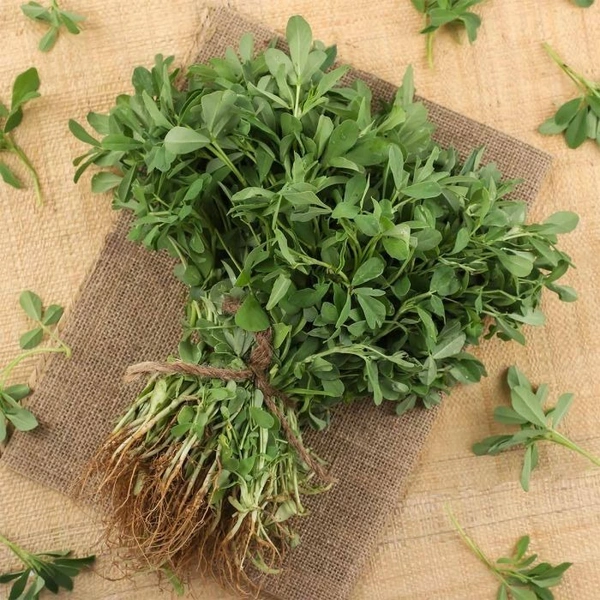 Fenugreek (Methi) - 250 -300 gm