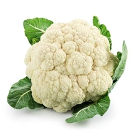Green Cauliflower - 1pcs