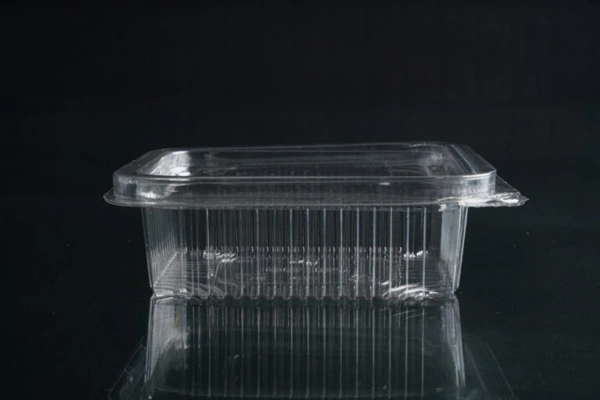 Paras Polymers Premium Quality Pastic Containers  - 100 ML, Transparent