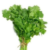 Green Coriander / Hara Dhaniya 