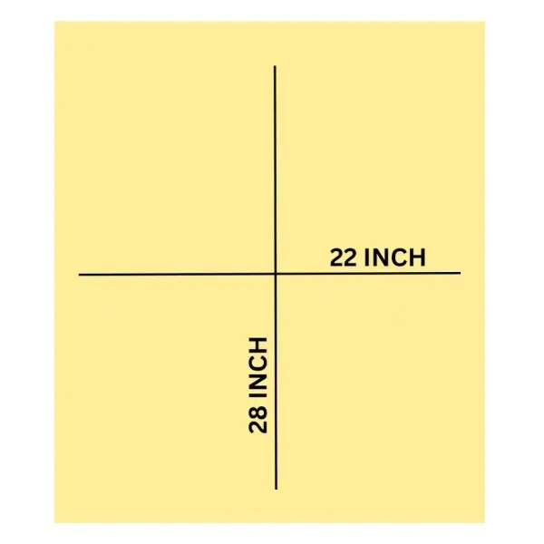 Chart Papers - Vibrant and Sturdy | Multicolor - SET OF 5