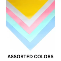 Chart Papers - Vibrant and Sturdy | Multicolor - SET OF 5