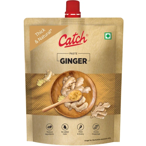 Ginger Garlic paste 100 gm (catch)