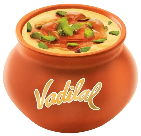VADILAL RAJBHOG COOL-FI