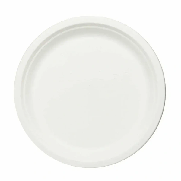 Disposable Plate 10 pcs