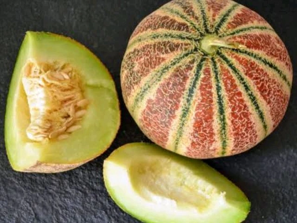 Muskmelon 