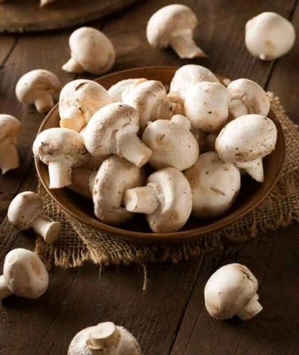 Mashroom 