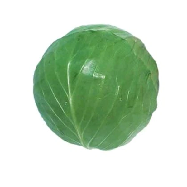 Cabbage 