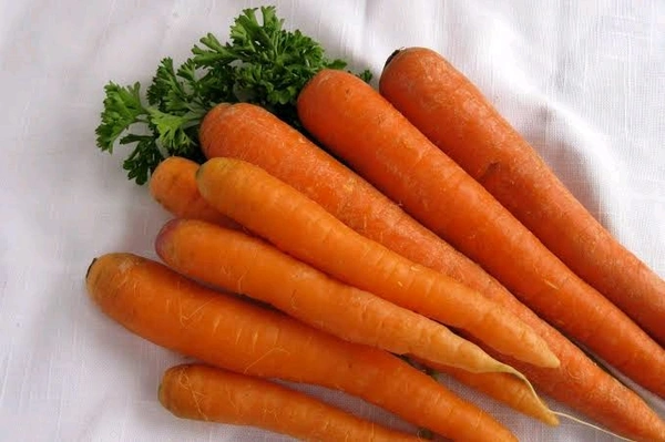 Carrot