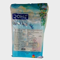 DOMS PAINTING KIT