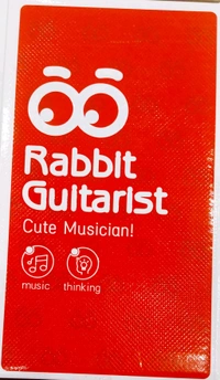 RABBIT GUITARIST Cute Musician  3+ Age