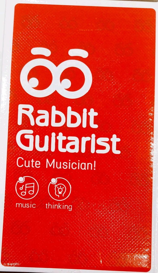 RABBIT GUITARIST Cute Musician  3+ Age