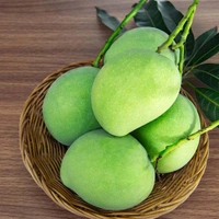 Raw Mango (Kairi/Kachha Aam)