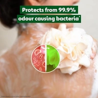 Dettol Lime Fresh Shower Gel [500 ml]