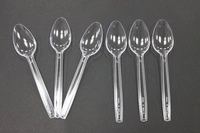 Ruchi & Company Plastic disposable Spoon | Premium Quality - Transparent