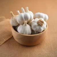  Garlic (lehsun)