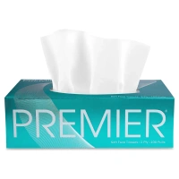 Premier Special Face Tissue Box, 2 Ply [Pack of 1]