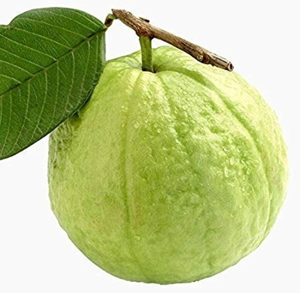 guava/amrood - 1kg