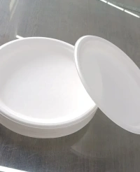 Disposable Plate 10 pcs