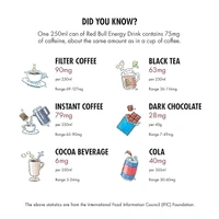 Red Bull Energy Drink, 250 ML Can, Mixed Fruit - 250 ml