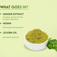 Jovees Herbal Mehandi/Henna Powder | With Amla, Shikakai & Brahmi Powder | For Extra Conditioning | Control Hair Fall & Repairs Damaged Hair 150g