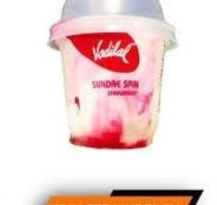 vadilal strawberry sundae spin