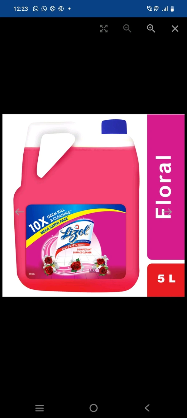 Lizol Disinfectant Surface Cleaner Floral (5L)