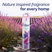 Dabur Odonil Air Freshener Lavender Mist Room Spray - 220 ml | Nature Inspired Fragrance for Home, Office, Living Room, Bedroom, Workspace & Kitchen | Long Lasting Fragrance | Instant Freshness - 220 ml, Green