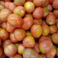 Hybrid Tomato (Tamatar) Gravy 1kg  - 1kg