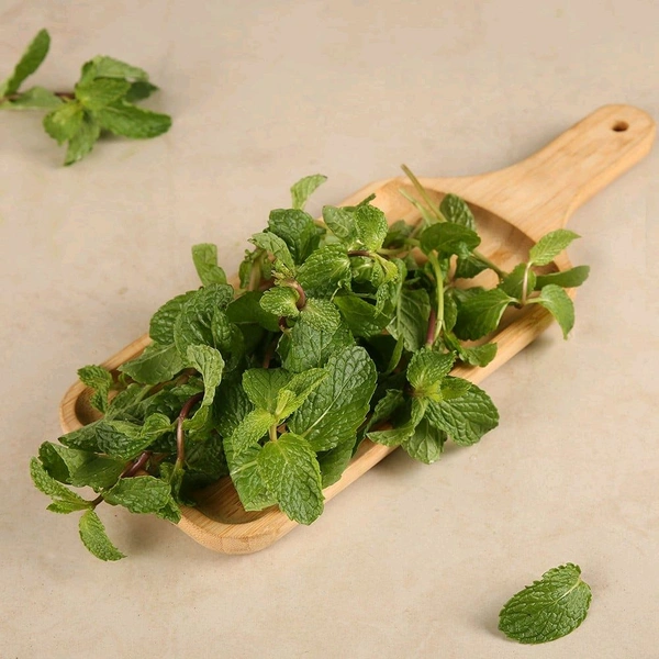 Mint Leaves (Without Roots) (Pudina) 1kg  - 1kg