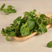 Mint Leaves (Without Roots) (Pudina) 1kg  - 1kg