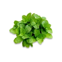 Mint Leaves (Without Roots) (Pudina) 1kg  - 1kg