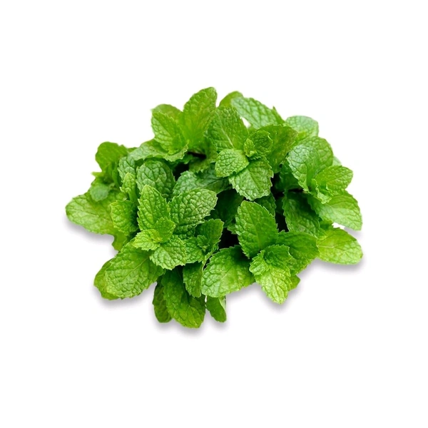 Mint Leaves (Without Roots) (Pudina) 1kg  - 1kg