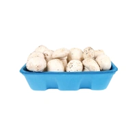  Mushroom Button (Medium Quality)  - 1kg