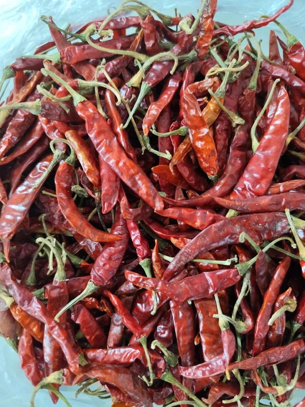 Shukno Lanka (Chili )