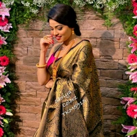 Banarasi Sarees - Black-Golden